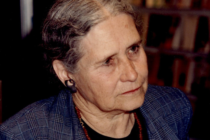 Doris Lessing